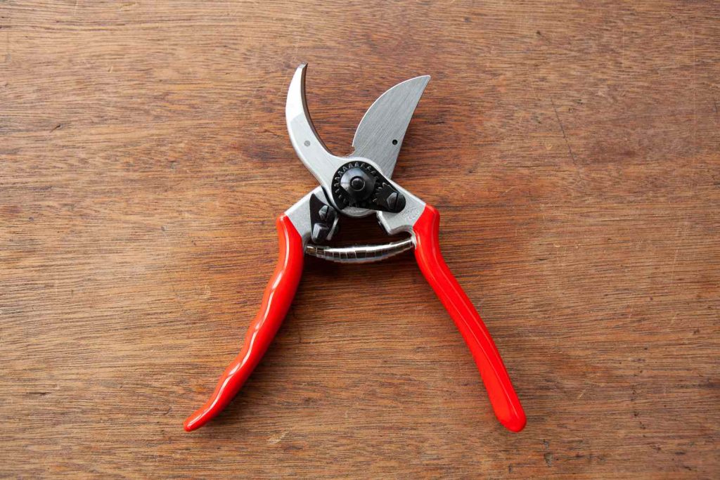 5 Best Pruners for Roses in 2025