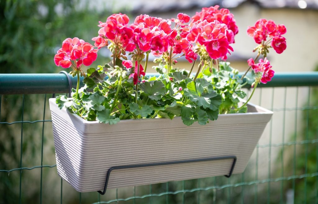 5 Best Planters for Small Balconies in 2025